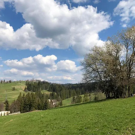 Bystre Pod Gubałówką Chalé *