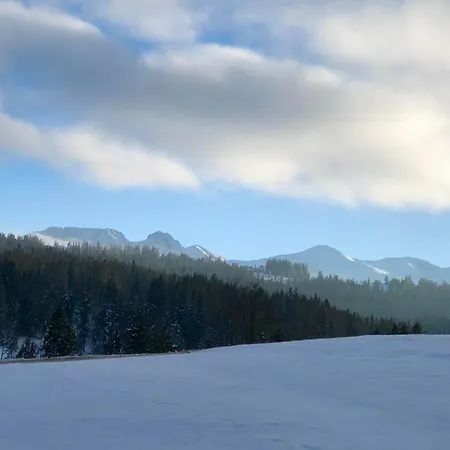 Bystre 2 * Nowe Bystre