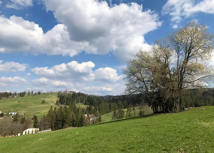 Bystre 2 بيت للعطل *