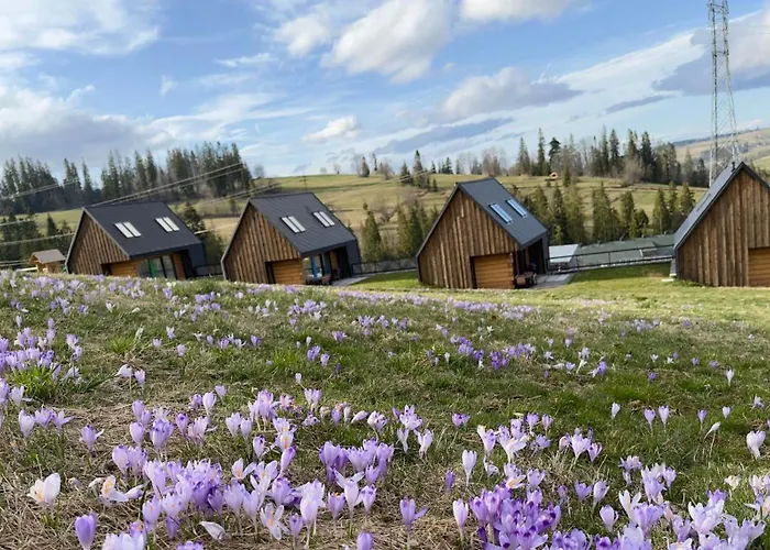 بيت للعطل Bystre 2 *